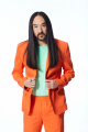 Steve Aoki x Sonic 1215.jpg