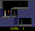 PrinceofPersia GBC Level1Start.png