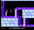 PrinceofPersia NES Level1Start.png