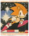 Sonic Brazil Sticker Album 005.png