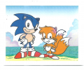 Sonic Brazil Sticker Album 045.png