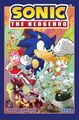 SonicVolume15 IDW Book US.jpg