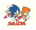 Sonic Brazil Sticker Album 094.png