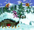 DonkeyKongCountry3 SNES SkiddasRow.png