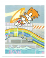 Sonic Brazil Sticker Album 048.png