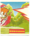 Sonic Brazil Sticker Album 008.png