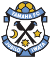 JubiloIwata logo 1994.svg