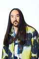 Steve Aoki x Sonic 1410.jpg