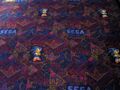 SegaParkReadingSonicCarpet.jpg